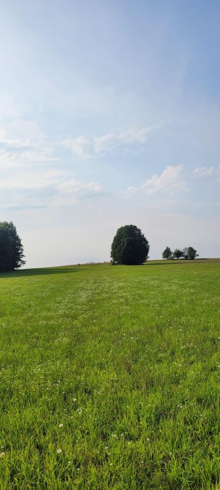 Działka budowlana Sikorzyno, ul. Osiedle Pana Tadeusza. Zdjęcie 5