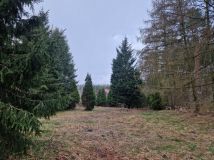 Działka siedliskowa Gzin. Zdjęcie 4