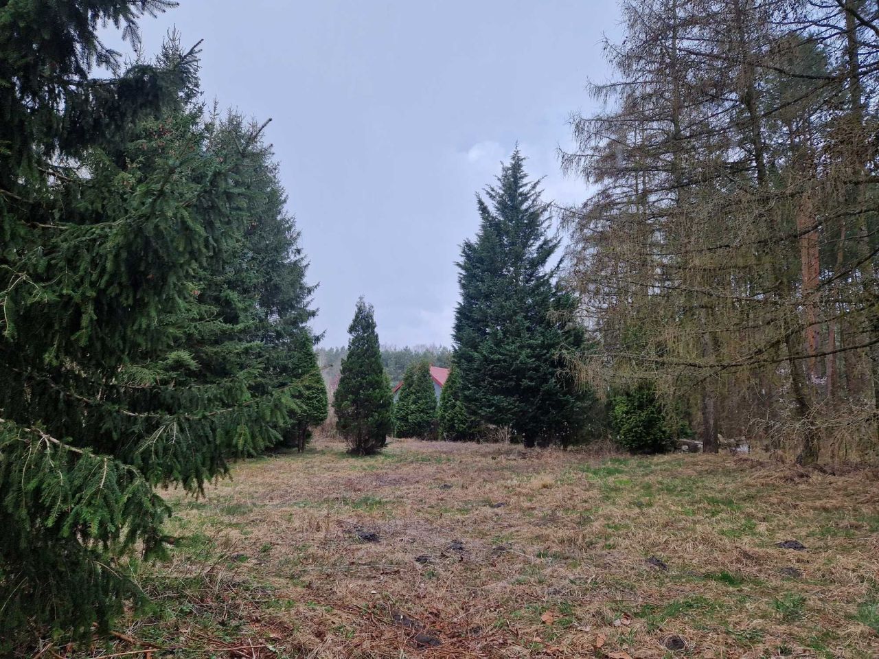 Działka siedliskowa Gzin. Zdjęcie 5