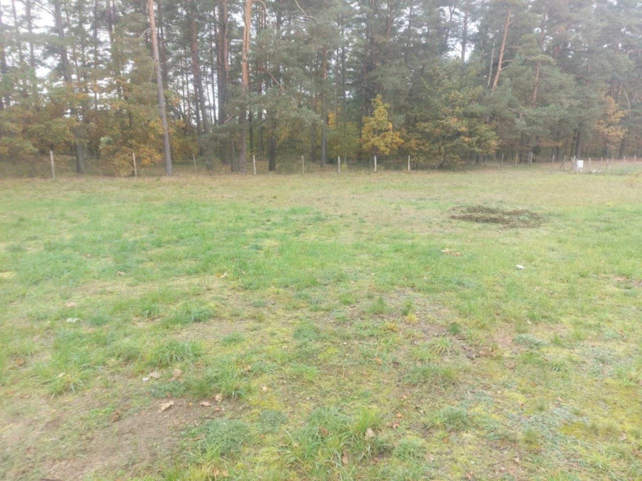 Działka rolna Rudka. Zdjęcie 5