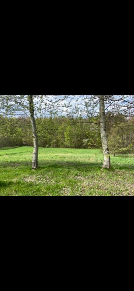 Działka siedliskowa Zagorzyce. Zdjęcie 4