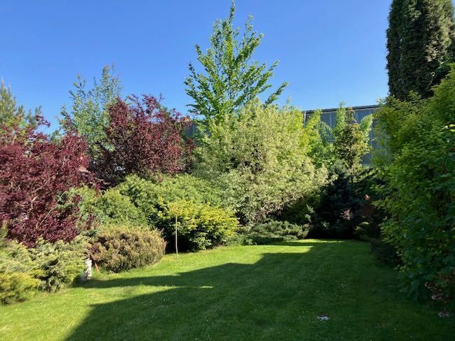 dom wolnostojący, 4 pokoje Szczuczyn. Zdjęcie 2