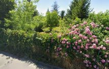 Działka rod Wrocław Księże Małe, ul. Raciborska. Zdjęcie 4