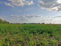 Działka rolna Brenno, ul. Wczasowa. Zdjęcie 1