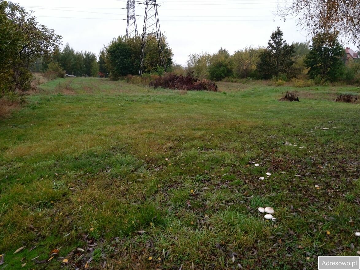 Działka budowlana Pliszczyn. Zdjęcie 4