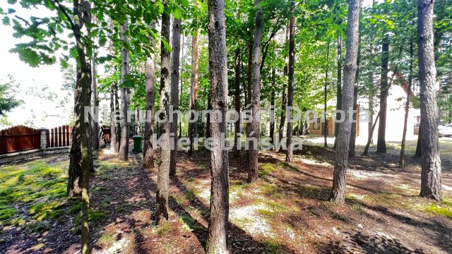 dom wolnostojący, 2 pokoje Fryszerka. Zdjęcie 21