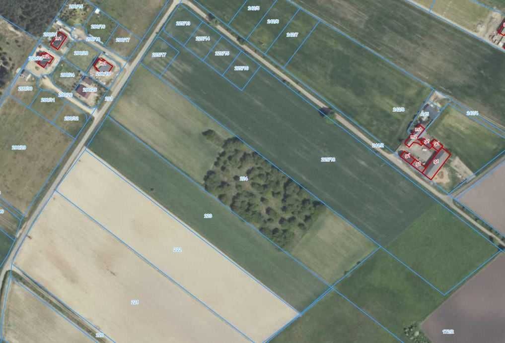 Działka rolno-budowlana Tworzymirki. Zdjęcie 1