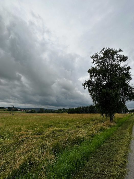 Działka budowlana Srogów Górny. Zdjęcie 4