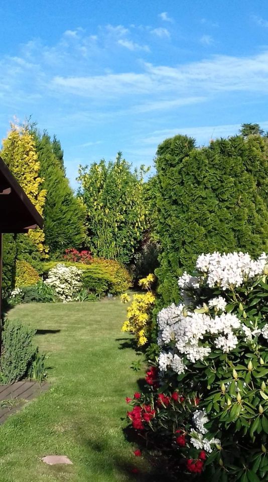 Działka rekreacyjna Wawrów. Zdjęcie 5