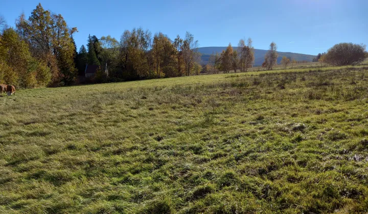 Działka budowlana Pobiedna, ul. Sąsiedzka