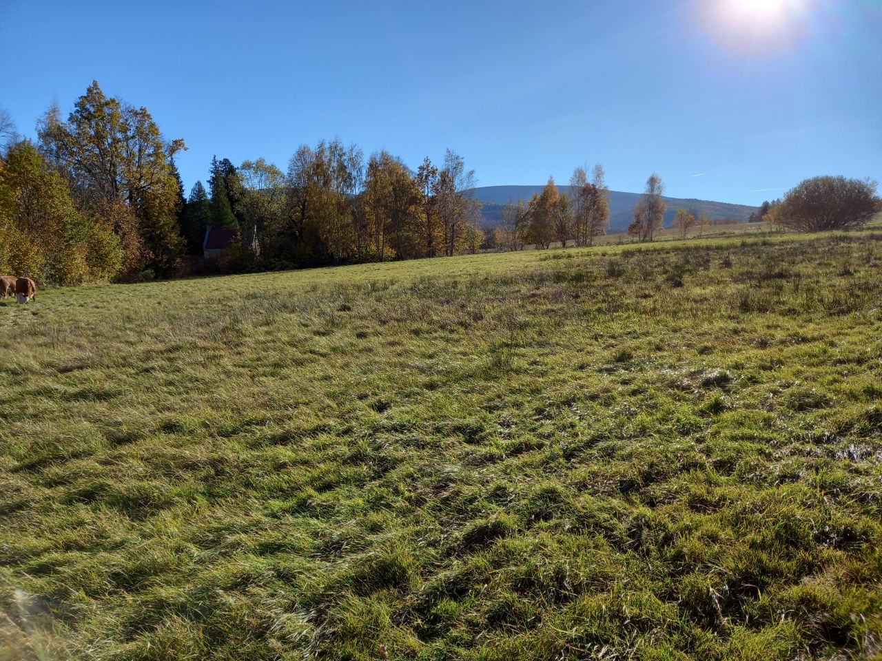 Działka budowlana Pobiedna, ul. Sąsiedzka