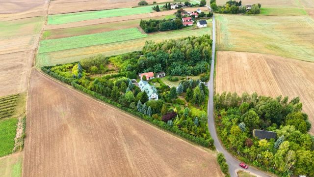 Działka rolna Zochcinek. Zdjęcie 15