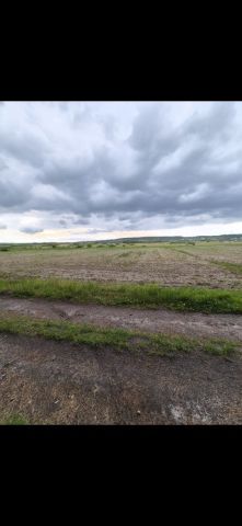 Działka rolna Skrzypiów. Zdjęcie 1