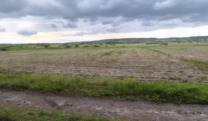 Działka rolna Skrzypiów