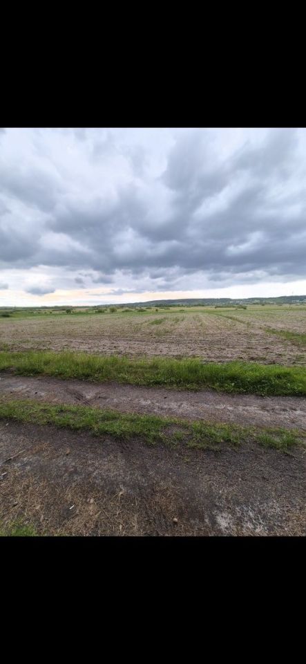 Działka rolna Skrzypiów. Zdjęcie 1