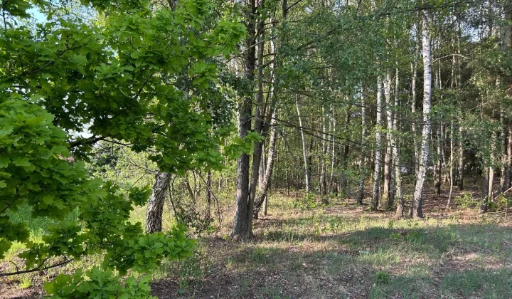 Działka budowlana Ostrówek