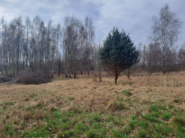 Działka budowlana Krzeczów. Zdjęcie 1