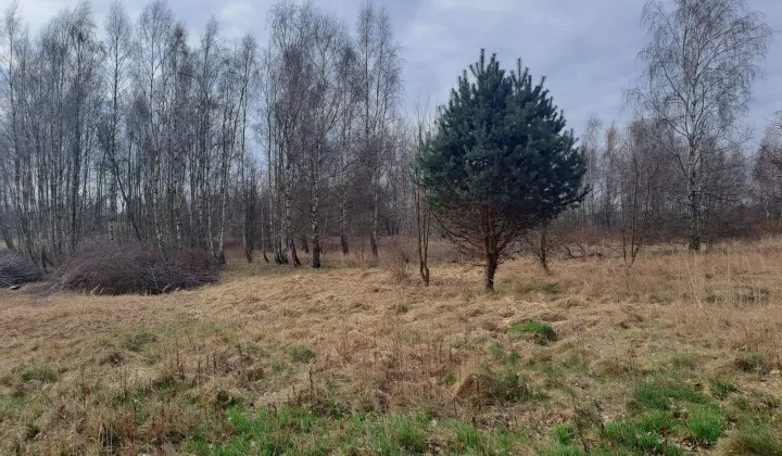 Działka budowlana Krzeczów