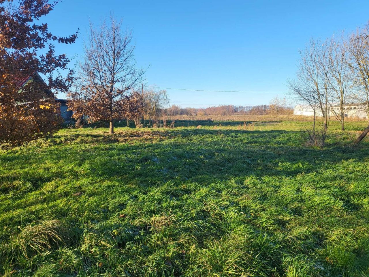 Działka rolna Bielkowo. Zdjęcie 5