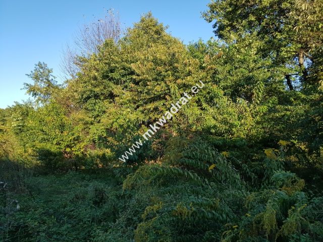 Działka budowlana Milanówek. Zdjęcie 6