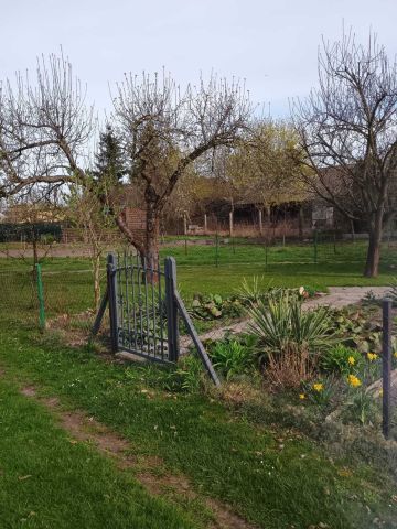 Działka rod Chełm, ul. Żabia. Zdjęcie 1