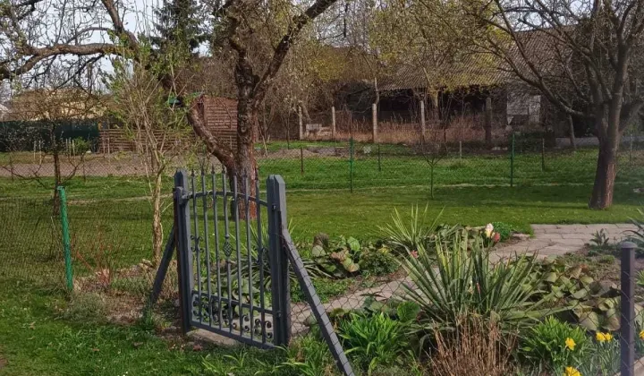 Działka rod Chełm, ul. Żabia