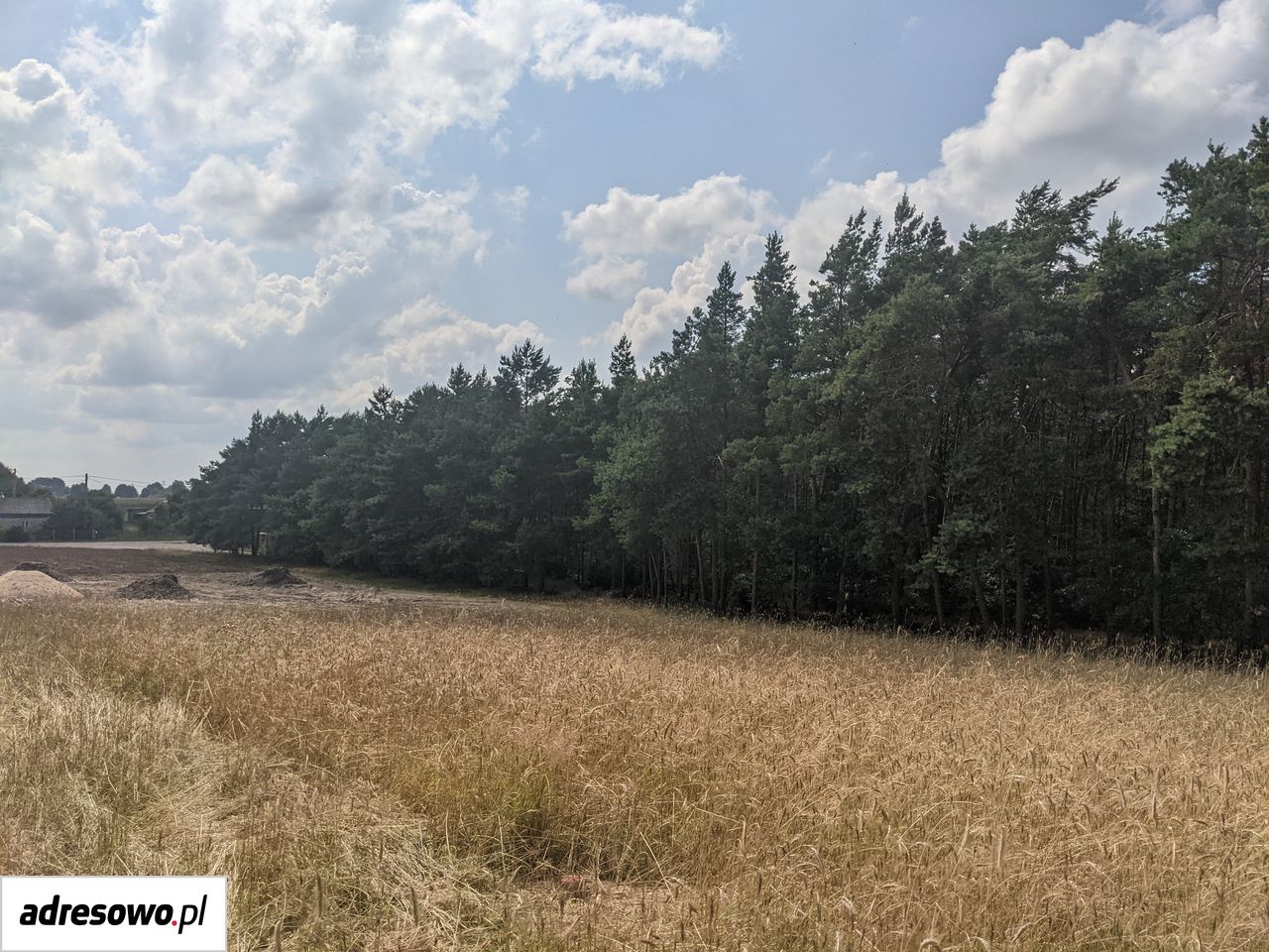 Działka budowlana Sułocin-Towarzystwo. Zdjęcie 2