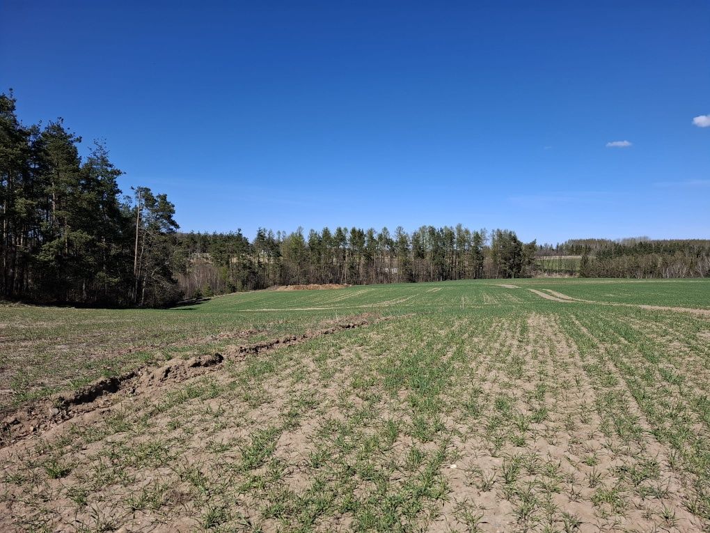 Działka budowlana Kłosowo. Zdjęcie 3