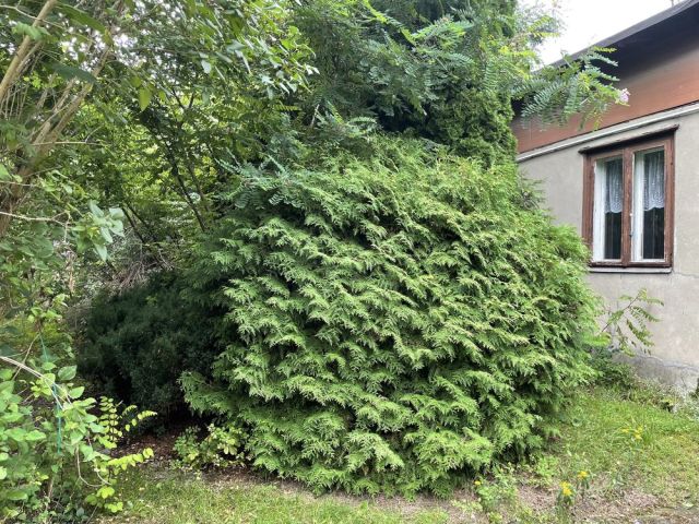 Działka budowlana Łódź, ul. Iłowa. Zdjęcie 1