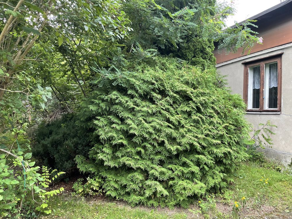 Działka budowlana Łódź, ul. Iłowa