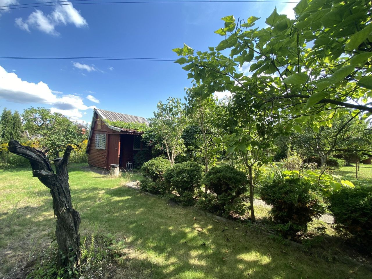 Działka rekreacyjna Bełchatów Domiechowice, ul. Cegielniana