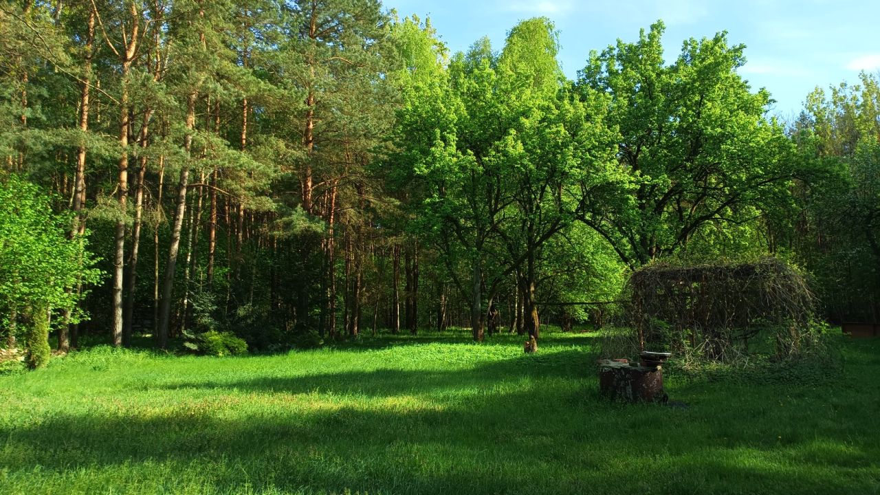 Działka budowlana Drochlin Ostrów Podlejski. Zdjęcie 5