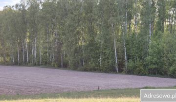 Działka rolna Pokaniewo-Kolonia