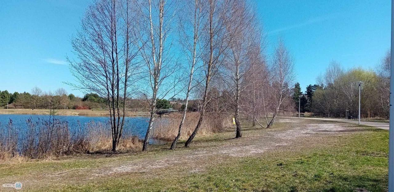 Działka budowlana Morawica. Zdjęcie 10