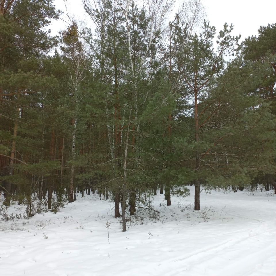 Działka budowlana Otwock Soplicowo, ul. Bernardyńska 32. Zdjęcie 2