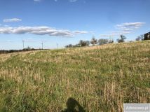 Działka budowlana Zarzeczewo Kulin. Zdjęcie 3