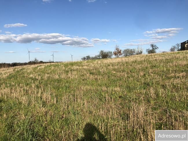 Działka budowlana Zarzeczewo Kulin. Zdjęcie 4