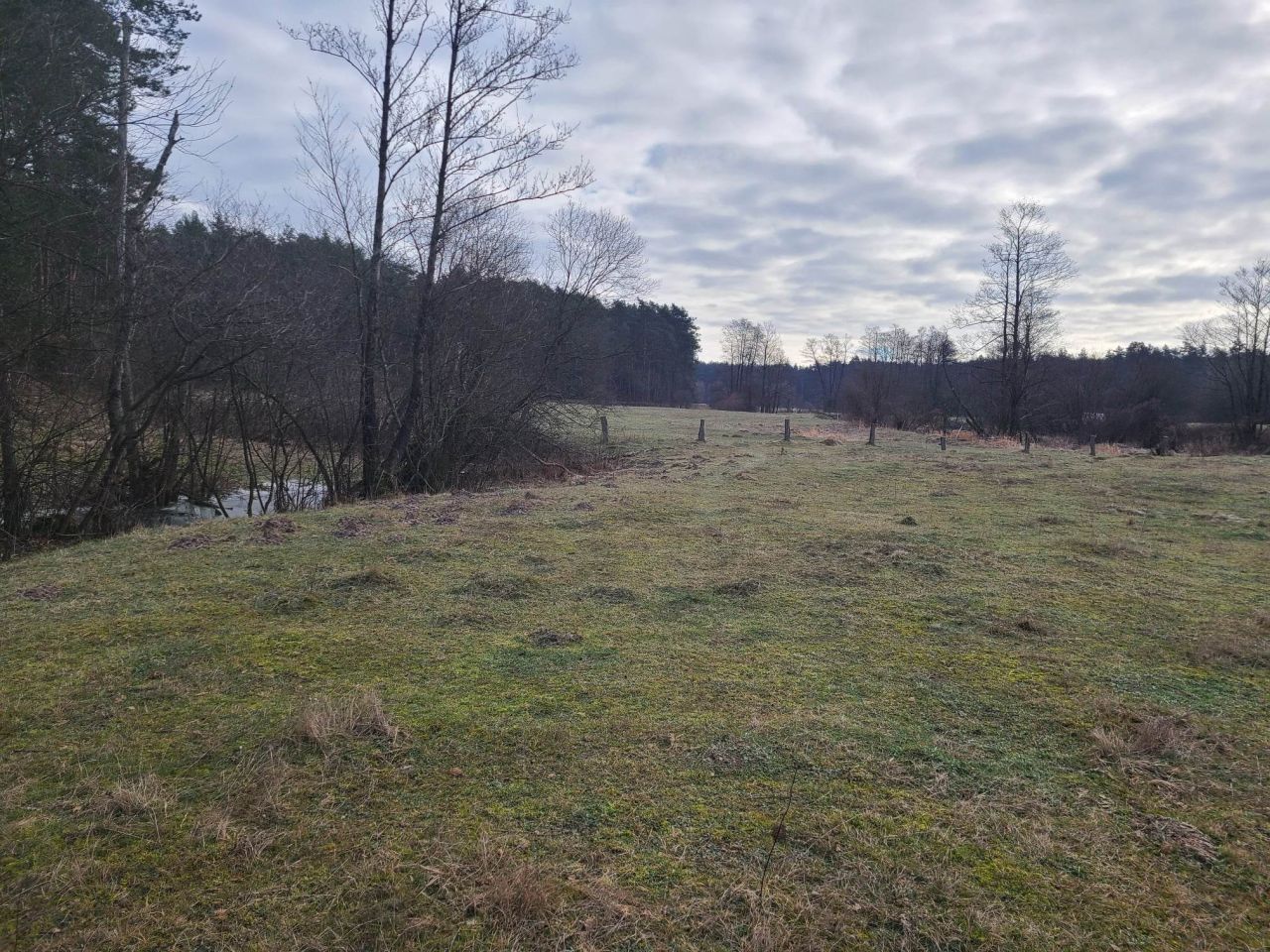 Działka inna Pełch. Zdjęcie 11