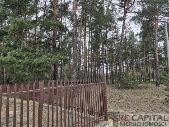 Działka inwestycyjna Adelin. Zdjęcie 5