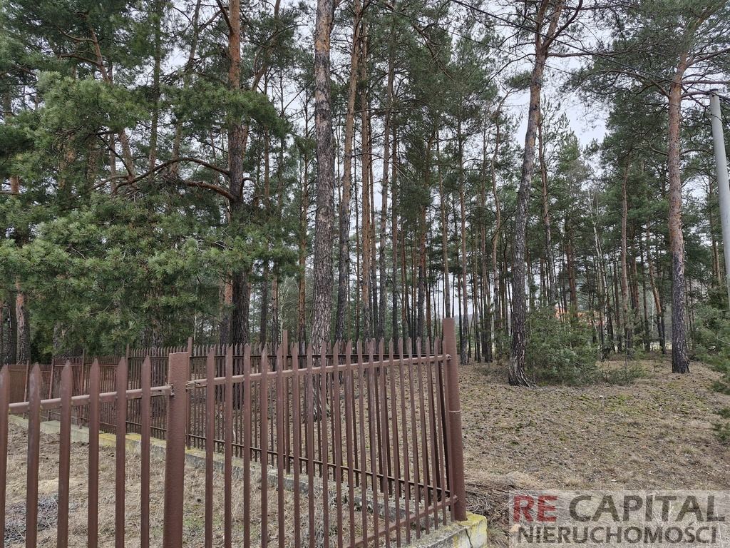 Działka inwestycyjna Adelin. Zdjęcie 5