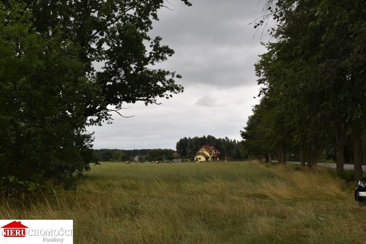 Działka budowlana Ruda. Zdjęcie 5