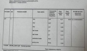 Działka leśna Jurki