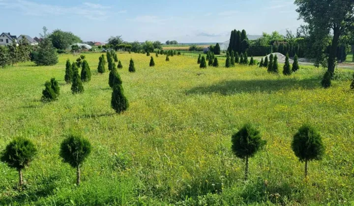 Działka budowlana Pisarzowice, ul. Świerkowa