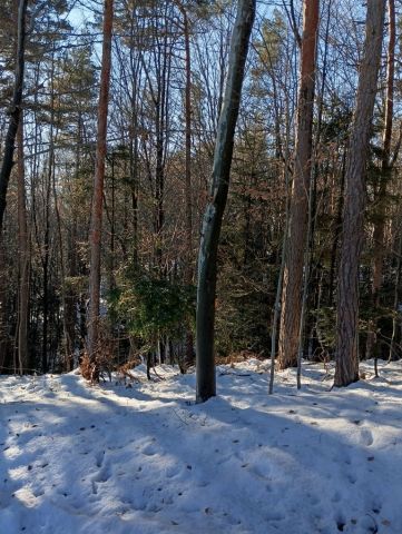 Działka leśna Żegocina. Zdjęcie 1