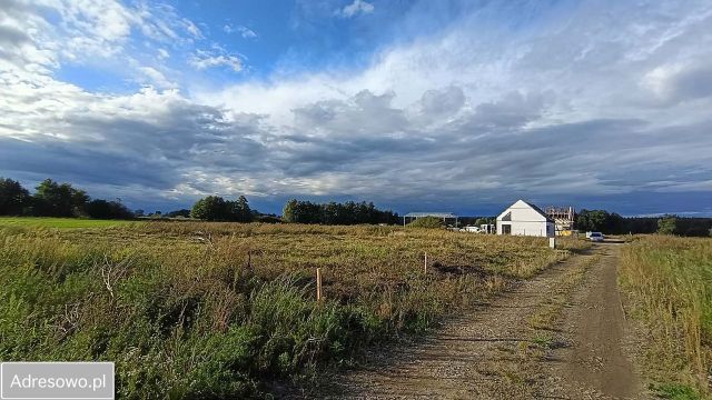 Działka budowlana Bychowo. Zdjęcie 1