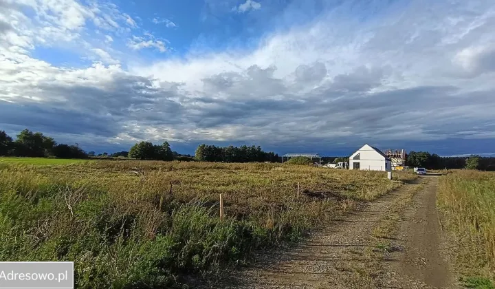 Działka budowlana Bychowo