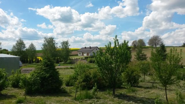 Działka siedliskowa Batycze. Zdjęcie 8