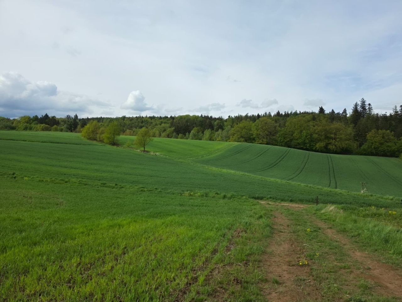 Działka budowlana Ścinawica. Zdjęcie 2
