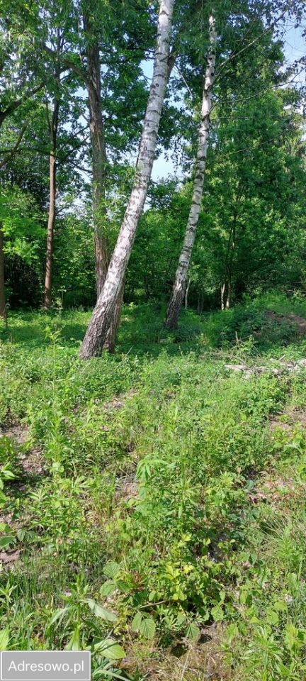 Działka budowlana Radom Krychnowice, ul. Ludwinowska. Zdjęcie 3