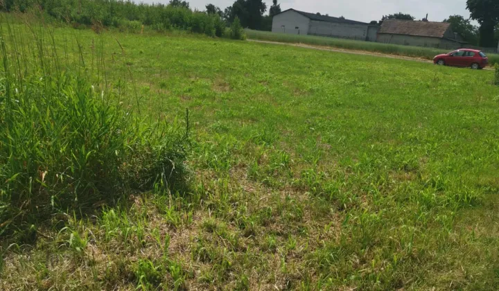 Działka budowlana Budy Dłutowskie